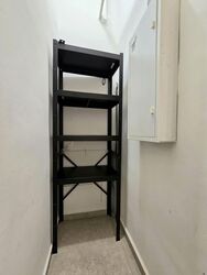 Hillview Park (D23), Condominium #579575441